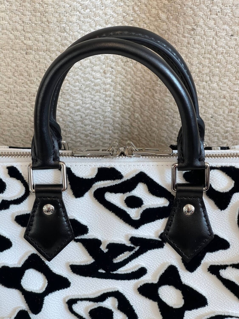 Speedy 25 Bandouliere LV x UF