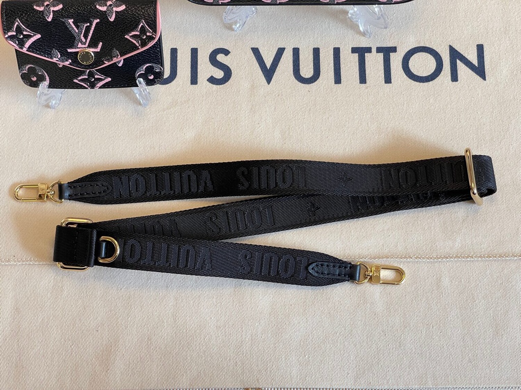 100% Original Louis Vuitton Felicie strap & go Fall for You