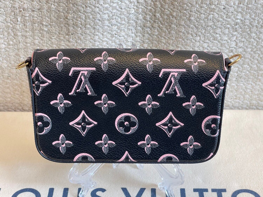 100% Original Louis Vuitton Felicie strap & go Fall for You