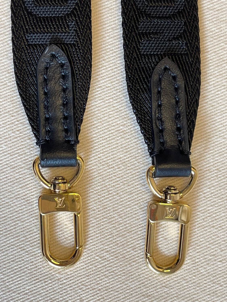 100% Original Louis Vuitton Felicie strap & go Fall for You