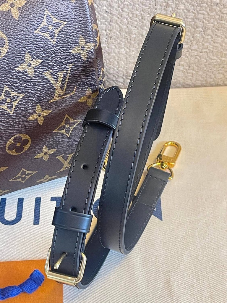 Speedy 30 Bandouliere Monogram World Tour