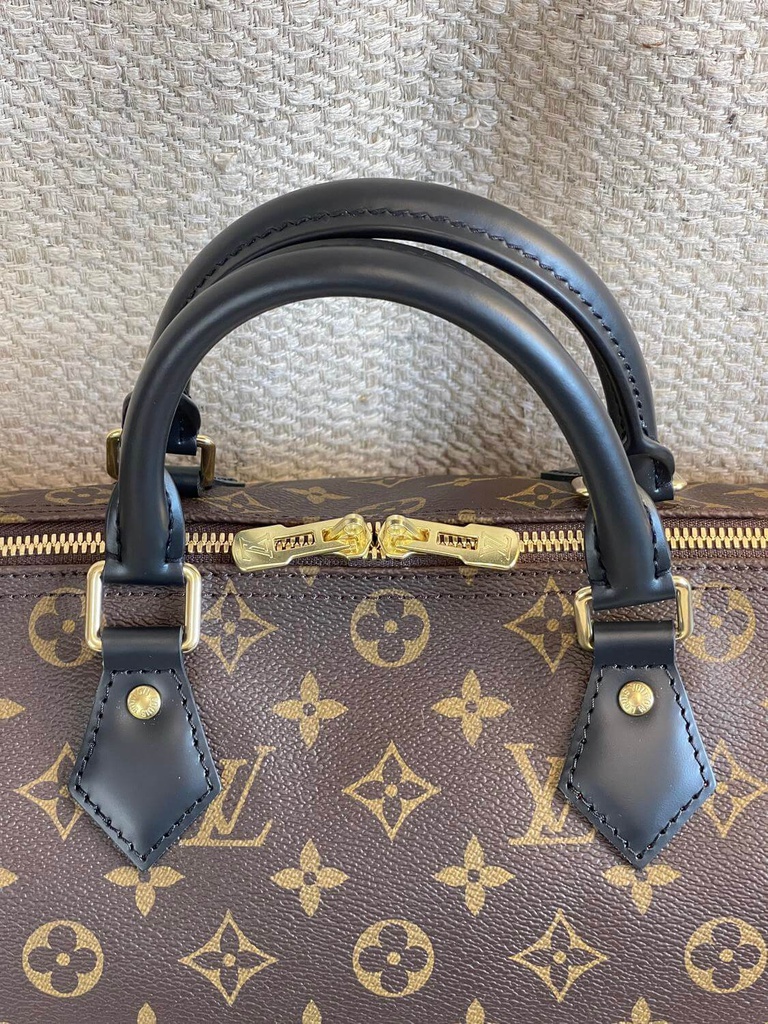 Speedy 30 Bandouliere Monogram World Tour