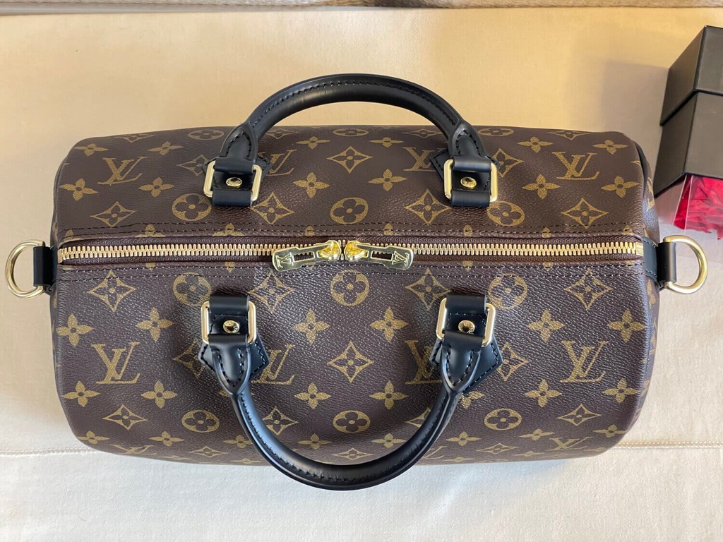 Speedy 30 Bandouliere Monogram World Tour