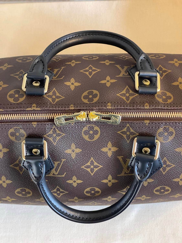 Speedy 30 Bandouliere Monogram World Tour