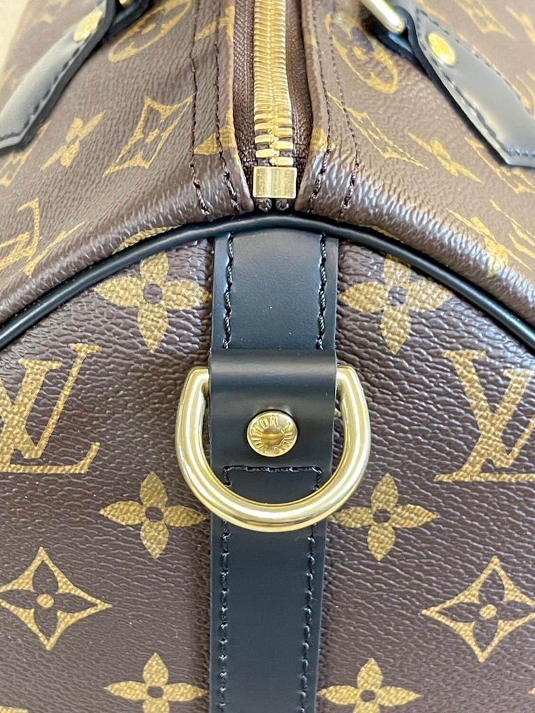 Speedy 30 Bandouliere Monogram World Tour