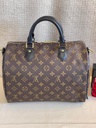 Speedy 30 Bandouliere Monogram World Tour