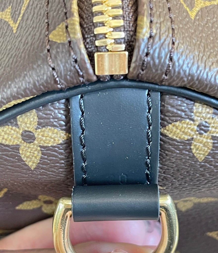 Speedy 30 Bandouliere Monogram World Tour
