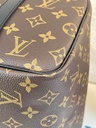 Speedy 30 Bandouliere Monogram World Tour