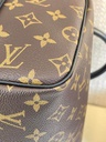 Speedy 30 Bandouliere Monogram World Tour