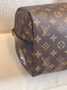 Speedy 30 Bandouliere Monogram World Tour