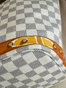 Neverfull MM Ltd Ed. Summer Trunks St Tropez