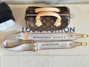Speedy 20 Bandouliere Monogram
