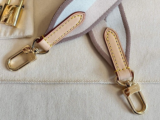 Speedy 20 Bandouliere Monogram