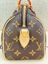Speedy 20 Bandouliere Monogram