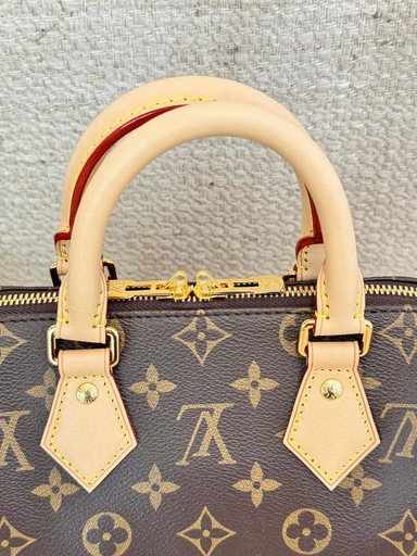 Speedy 20 Bandouliere Monogram