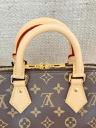Speedy 20 Bandouliere Monogram