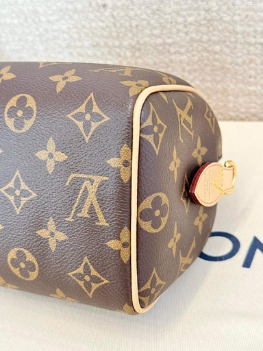 Speedy 20 Bandouliere Monogram