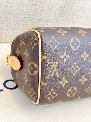 Speedy 20 Bandouliere Monogram