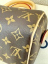 Speedy 20 Bandouliere Monogram