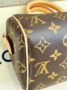 Speedy 20 Bandouliere Monogram