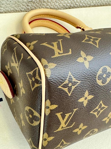 Speedy 20 Bandouliere Monogram