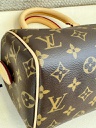 Speedy 20 Bandouliere Monogram