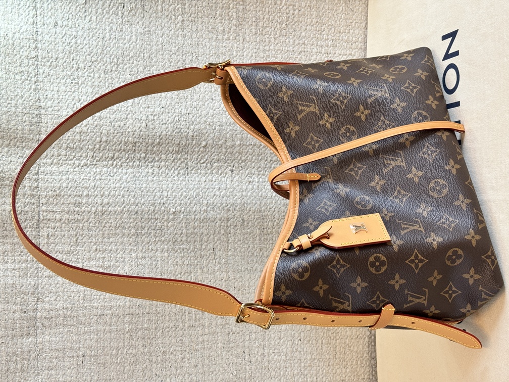 Carry All PM Monogram