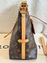 Carry All PM Monogram