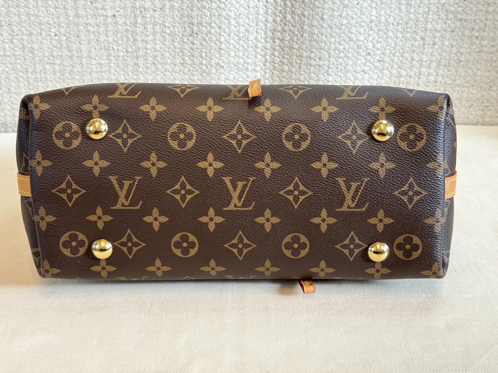 Carry All PM Monogram