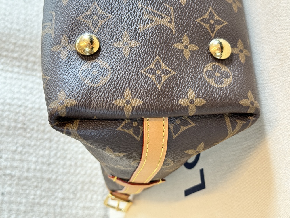 Carry All PM Monogram