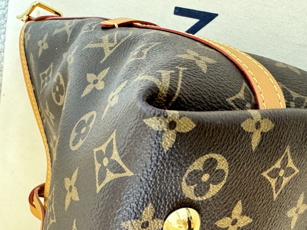 Carry All PM Monogram
