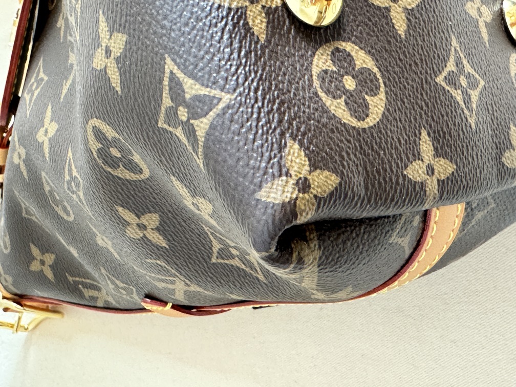 Carry All PM Monogram