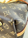 Carry All PM Monogram