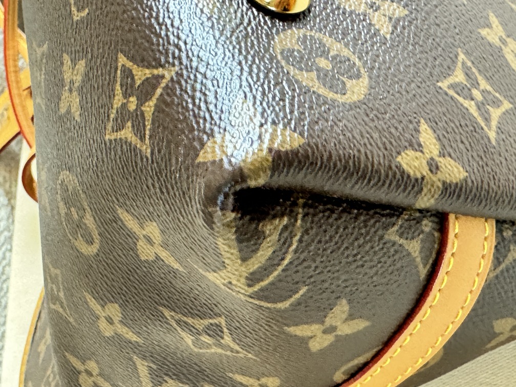 Carry All PM Monogram