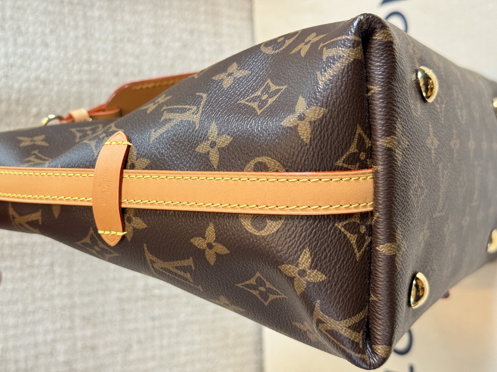 Carry All PM Monogram