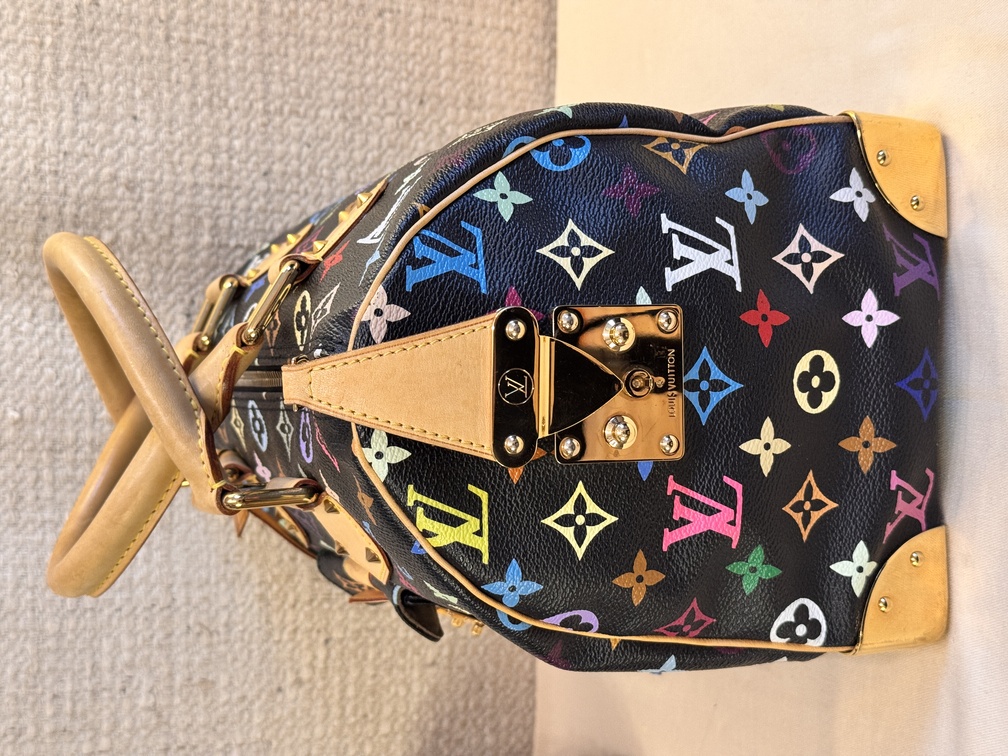 Speedy 30 Multicolor noir