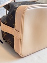 Noe BB Monogram