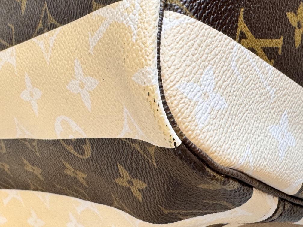 Neverfull MM Rayures