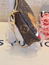 Mini Pochette Monogram Lion