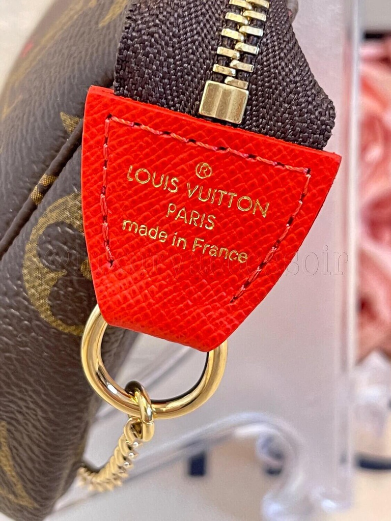 Mini Pochette Monogram Lion