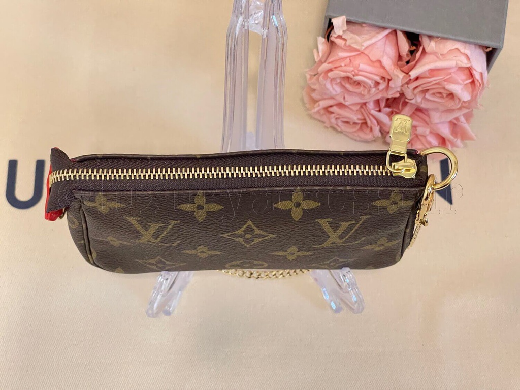 Mini Pochette Monogram Lion