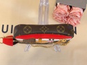 Mini Pochette Monogram Lion
