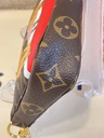 Mini Pochette Monogram Lion