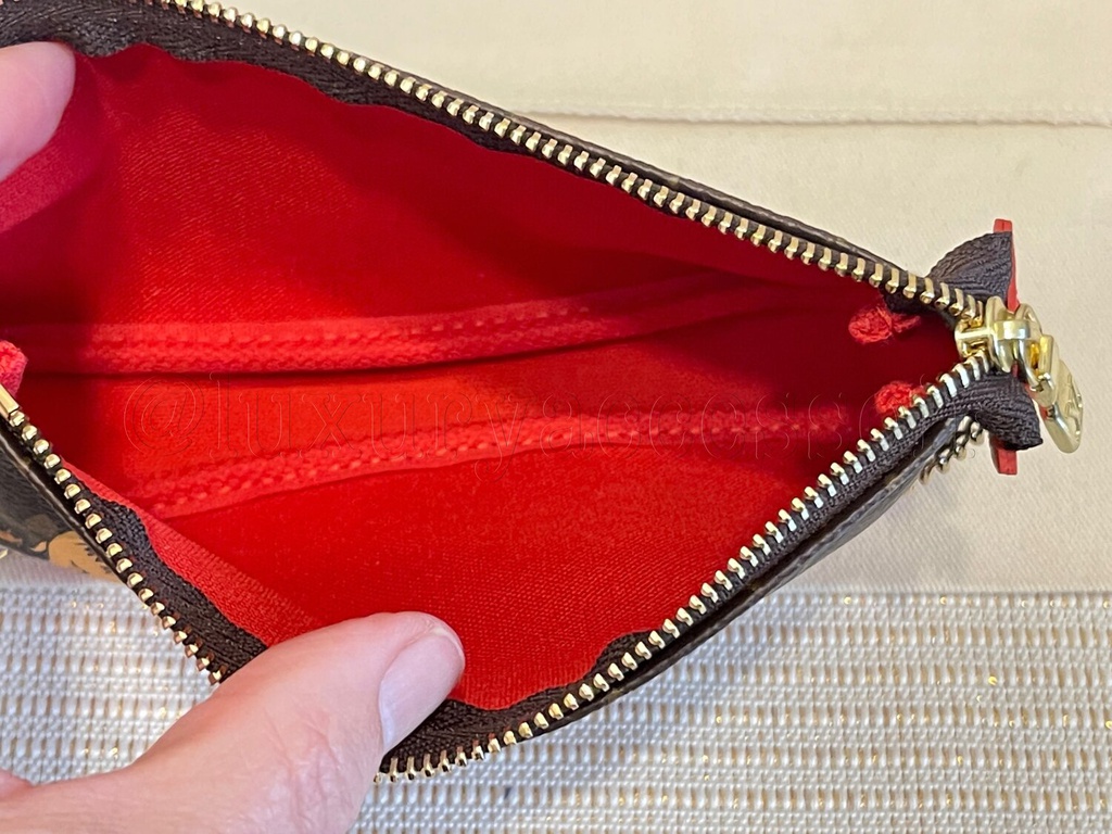 Mini Pochette Monogram Lion
