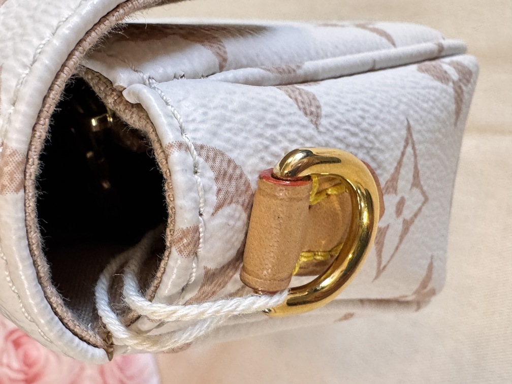 IVY Wallet on Chain bag Dune Monogram