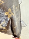 Pallas Clutch Monogram cerise