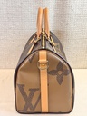 Speedy 30 Bandouliere Giant Reverse