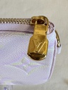 Trio Pouch Stardust
