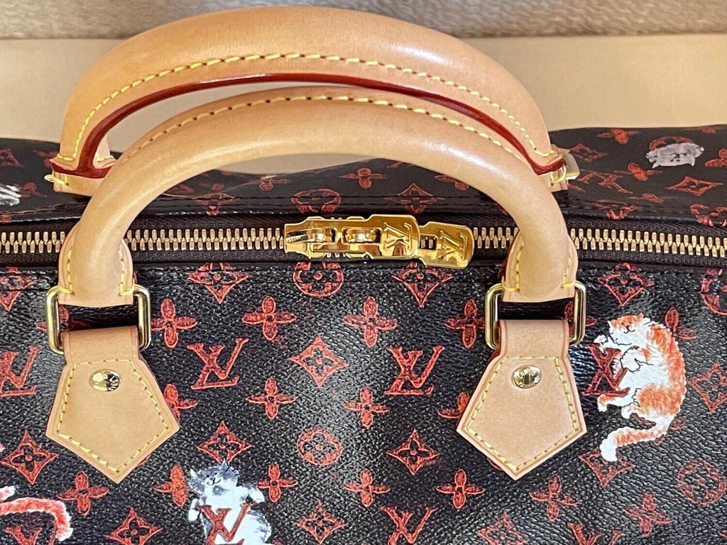 Louis Vuitton speedy 30 grace Coddington Catogram bag for Sale in