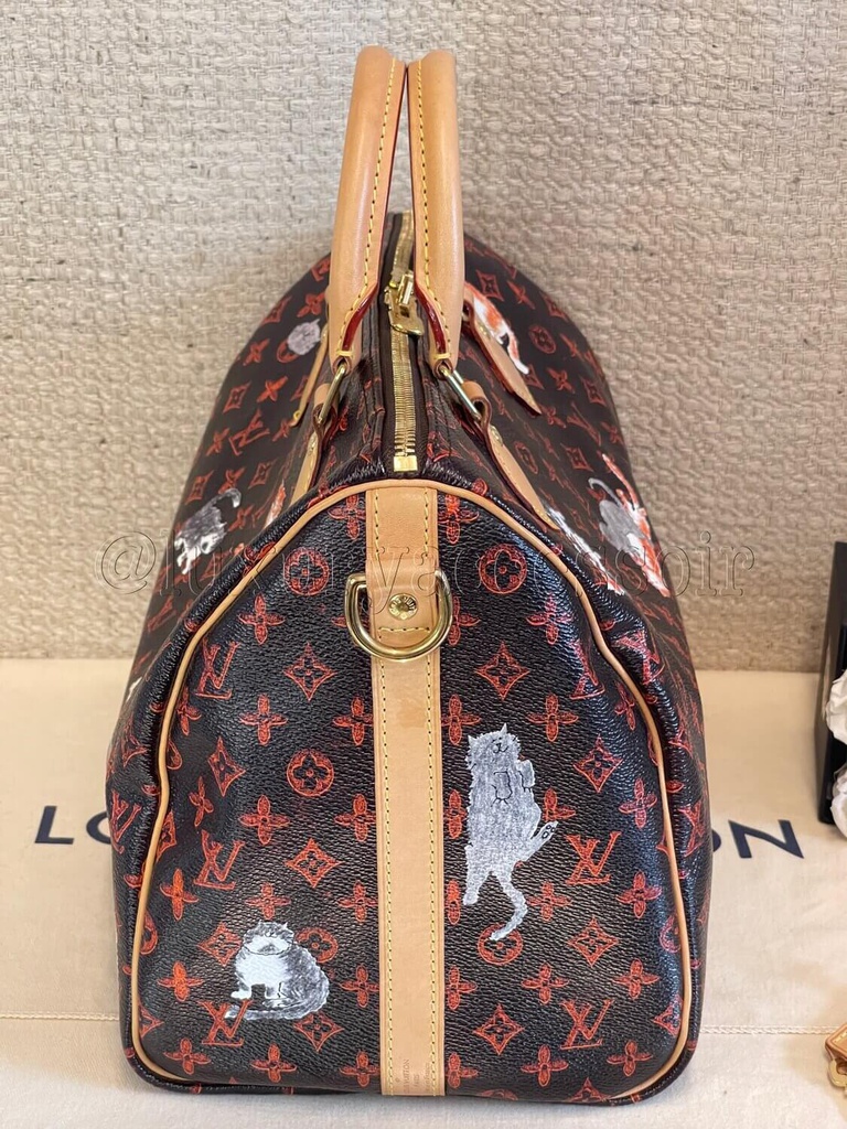 ❌SOLD❌ Louis Vuitton Catogram Speedy 30 Bandouliere bag Grace Coddington  Limited Edition - Reetzy